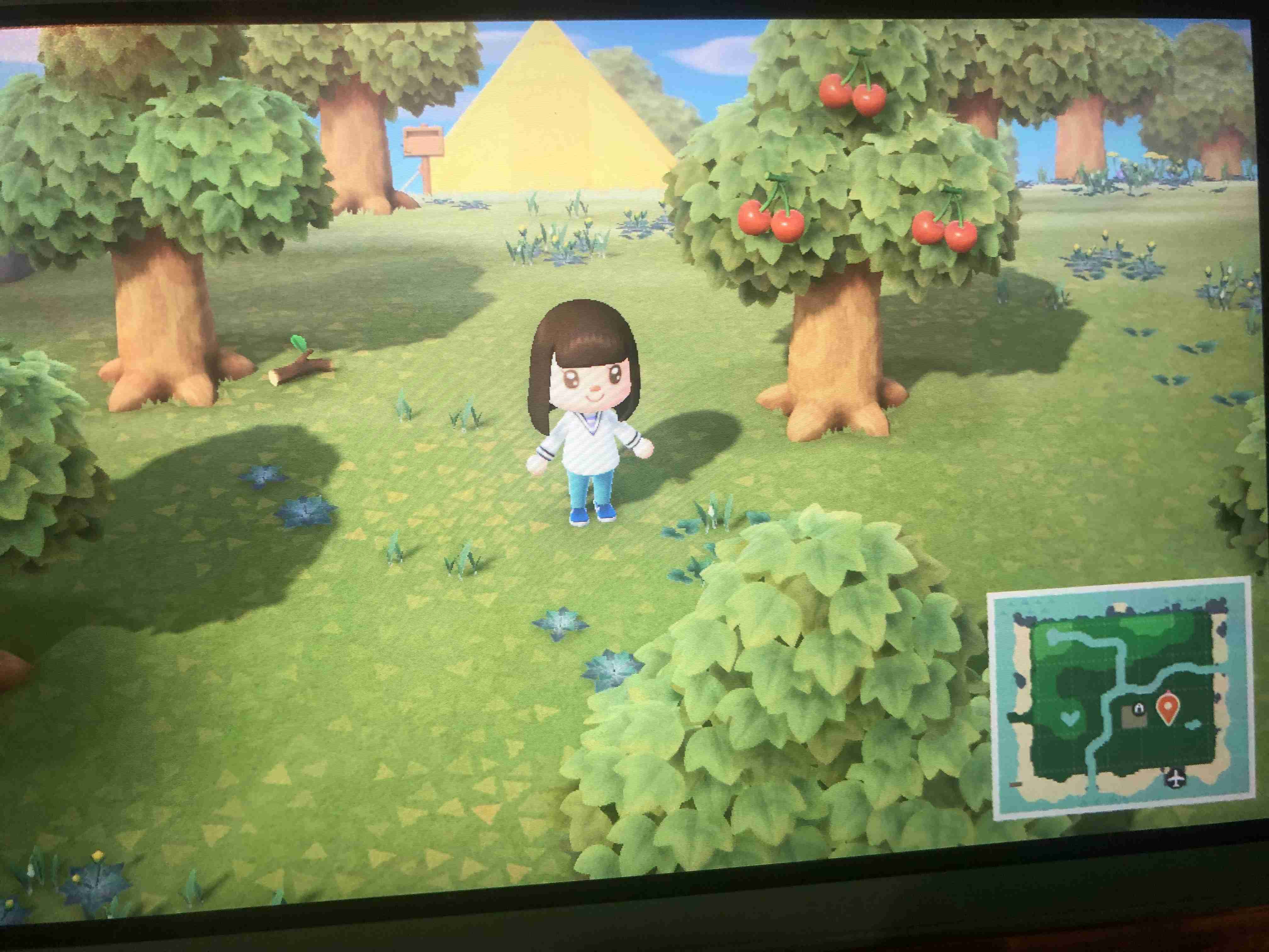 【祝☆】あつまれどうぶつの森プレイ実況、雑談なんでも！【発売】