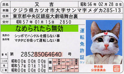 一目で懐かしい気持ちにさせてください
