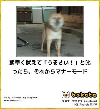 マナーにうるさすぎる世の中に疲れた人
