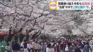 小池都知事が週末の外出自粛を要請も…約30％が「外出する」と回答