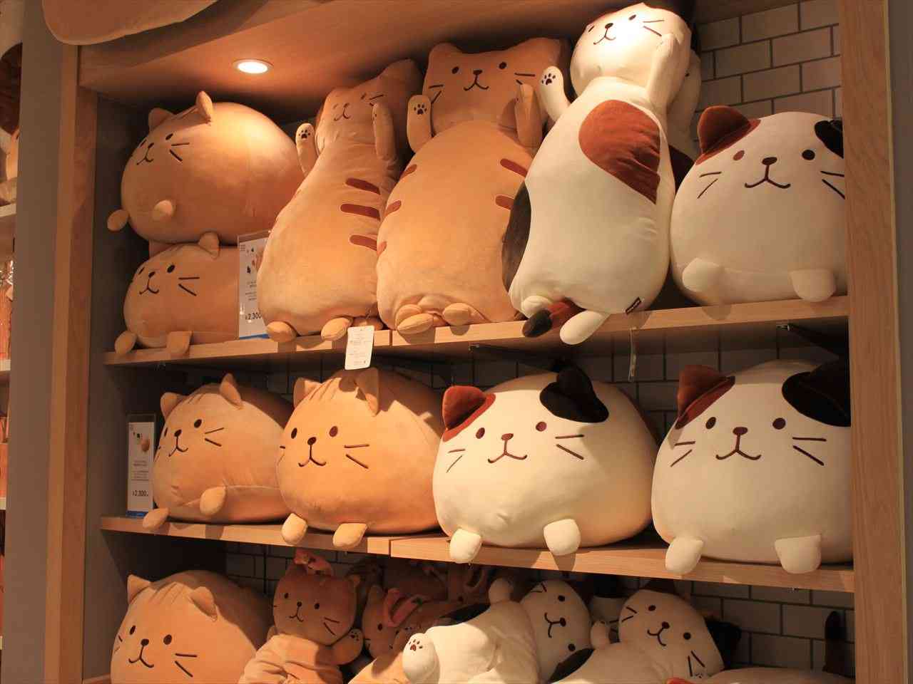 最近爆買いした物(生活必需品以外)