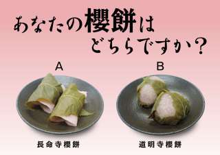 【実況・感想】月曜から夜ふかしスペシャル【日本の大大大問題 春の一斉調査】