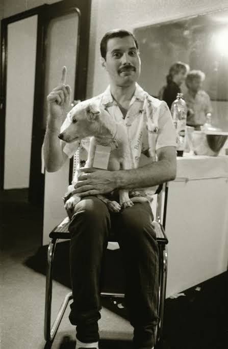 いろいろなQueenを見たいpart2