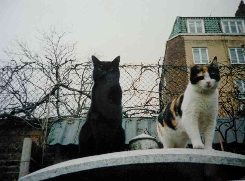 いろいろなQueenを見たいpart2