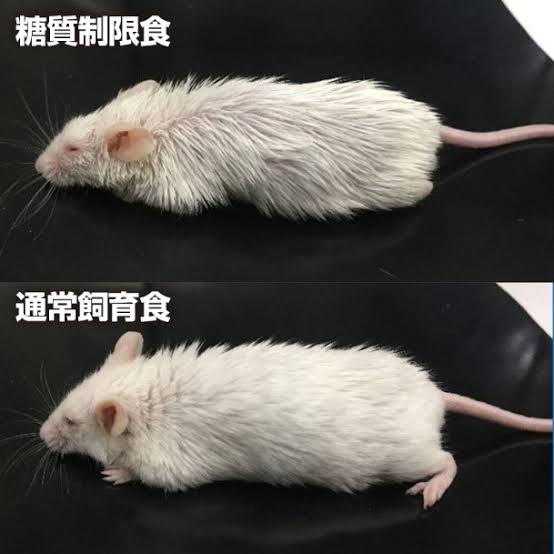 糖質制限を信じていない方 Part2
