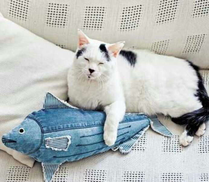 ガルちゃん猫カフェ50号店 開店しました♪(初めての方も大歓迎)
