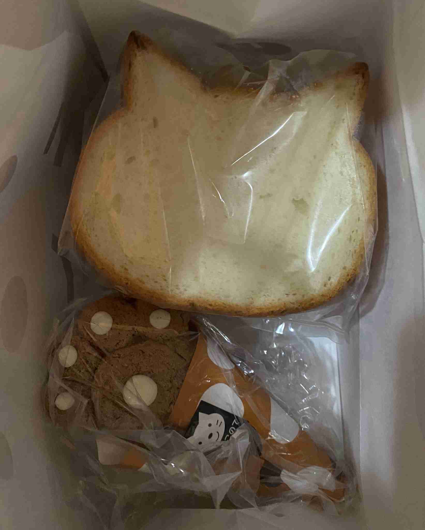 ガルちゃん猫カフェ50号店 開店しました♪(初めての方も大歓迎)