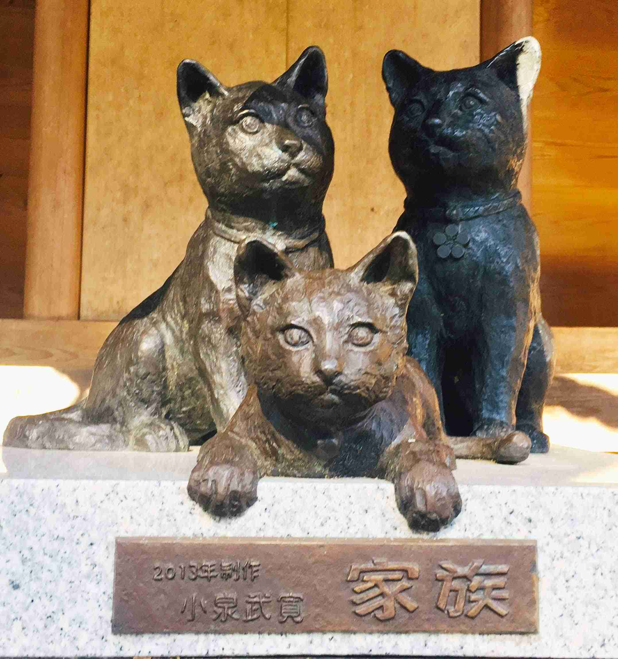 ガルちゃん猫カフェ50号店 開店しました♪(初めての方も大歓迎)