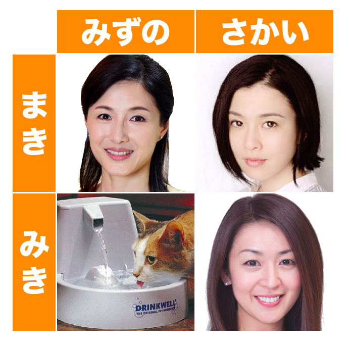 ガルちゃん猫カフェ50号店 開店しました♪(初めての方も大歓迎)