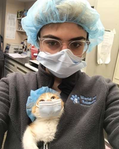 ガルちゃん猫カフェ50号店 開店しました♪(初めての方も大歓迎)