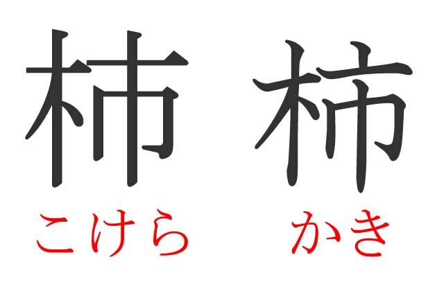とにかく似てると思った画像を貼っていくトピ