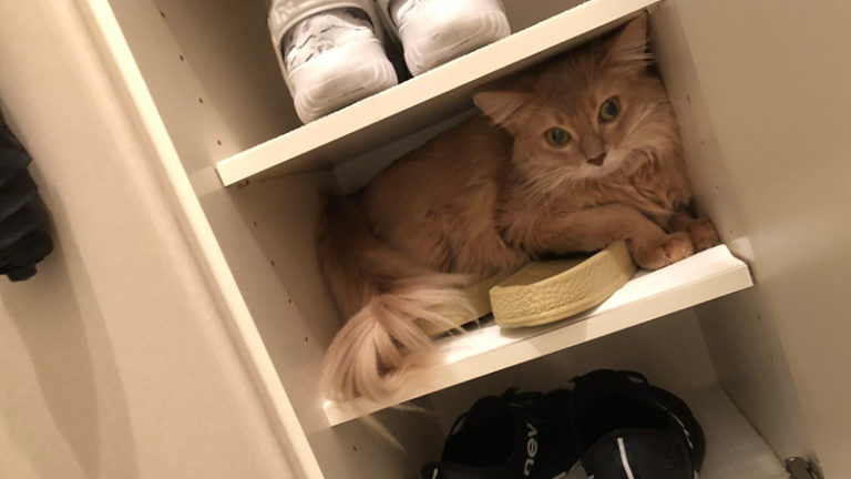 動物たちのお気に入りの場所