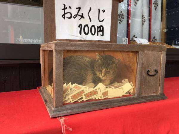 動物たちのお気に入りの場所