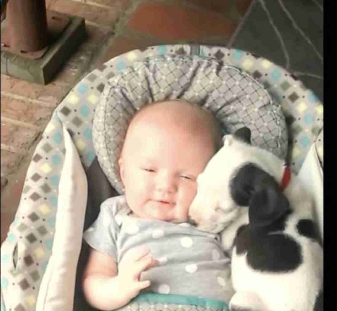 動物たちのお気に入りの場所