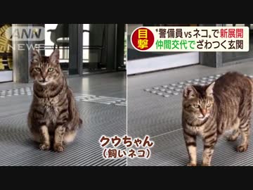 動物たちのお気に入りの場所