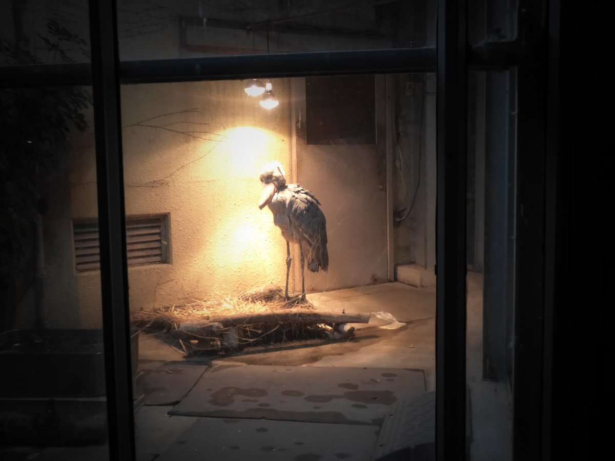 動物たちのお気に入りの場所