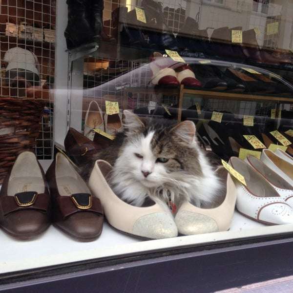 動物たちのお気に入りの場所