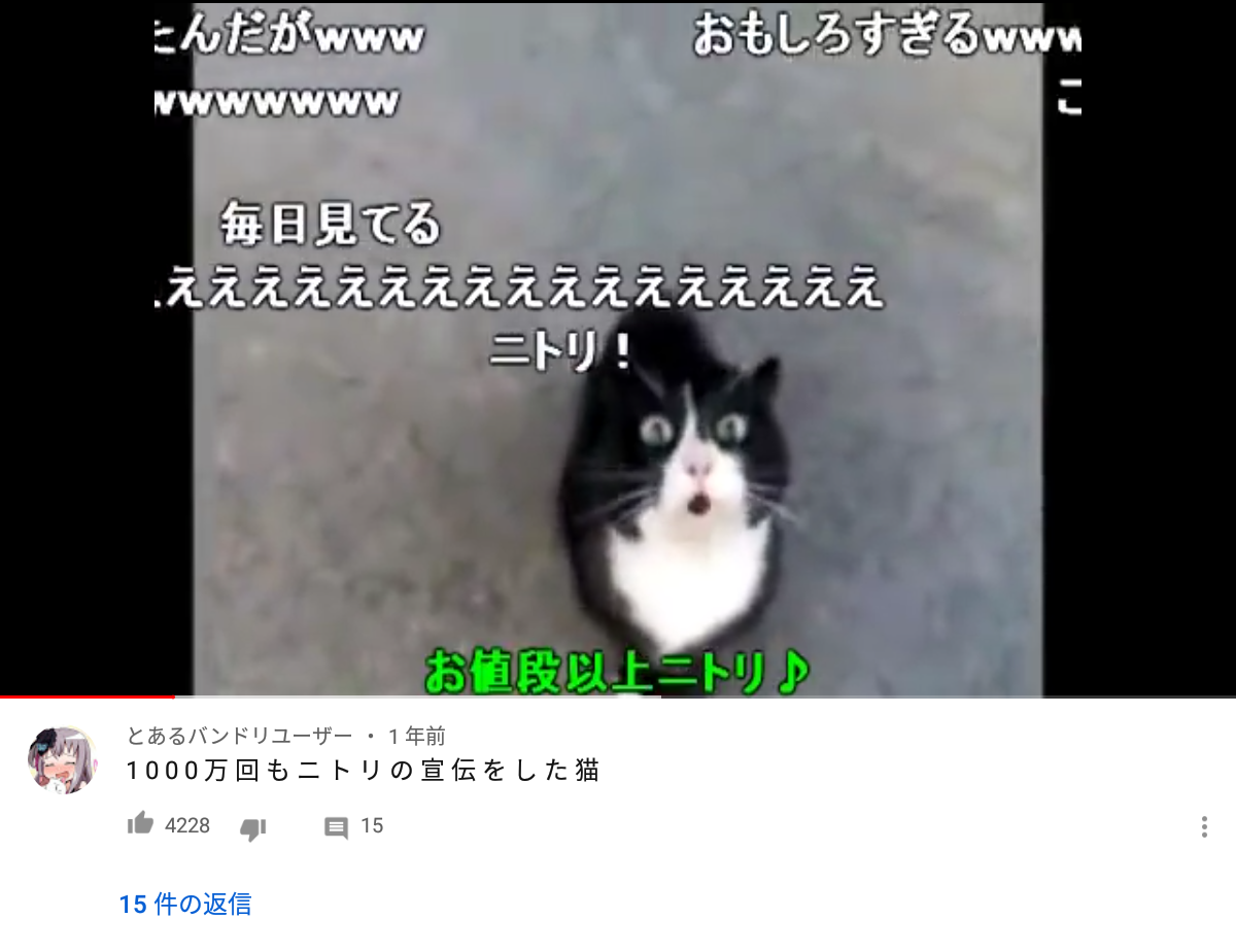 動物たちのお気に入りの場所