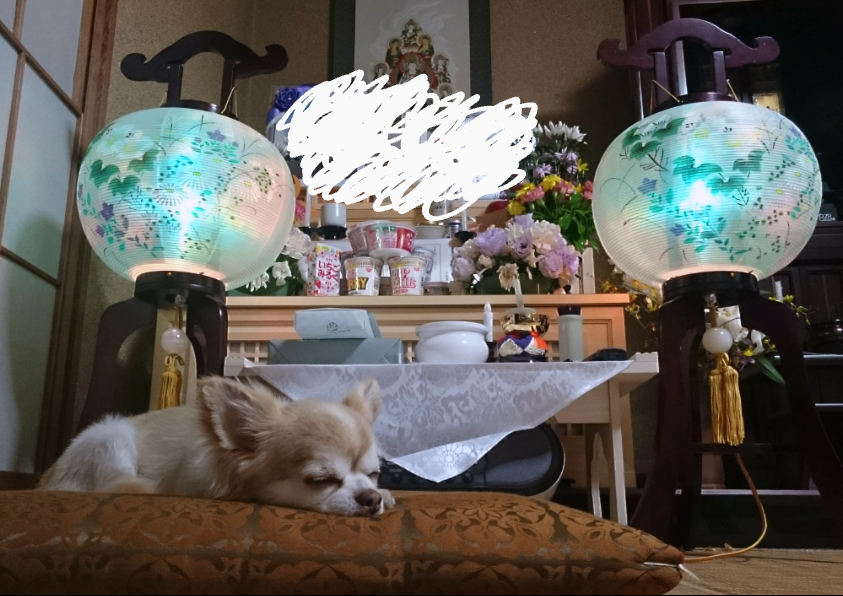 動物たちのお気に入りの場所