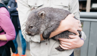 動物たちのお気に入りの場所