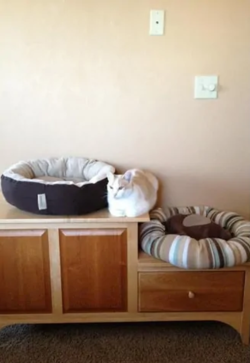 動物たちのお気に入りの場所