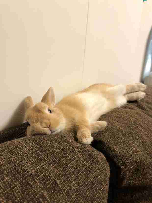 動物たちのお気に入りの場所