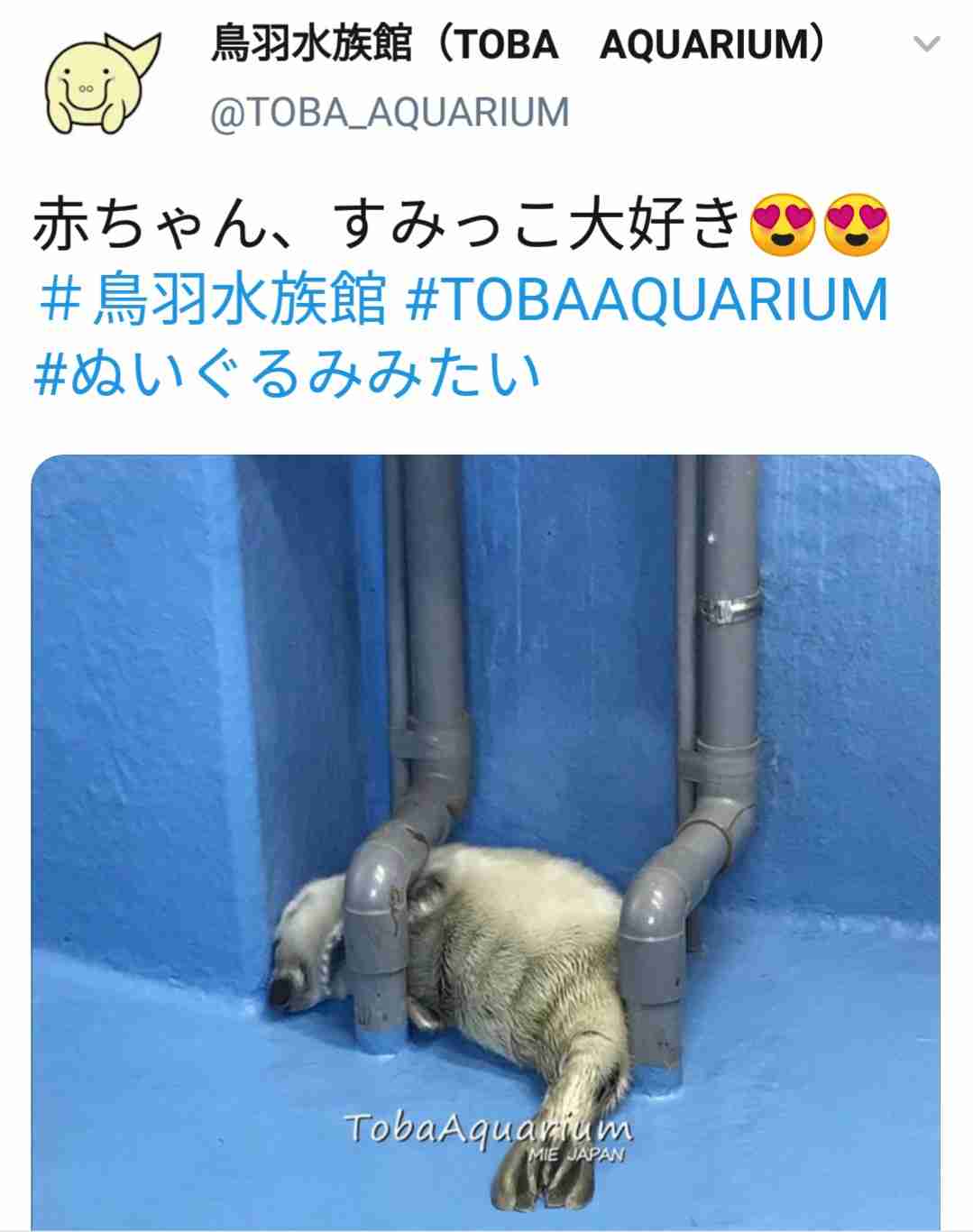 動物たちのお気に入りの場所