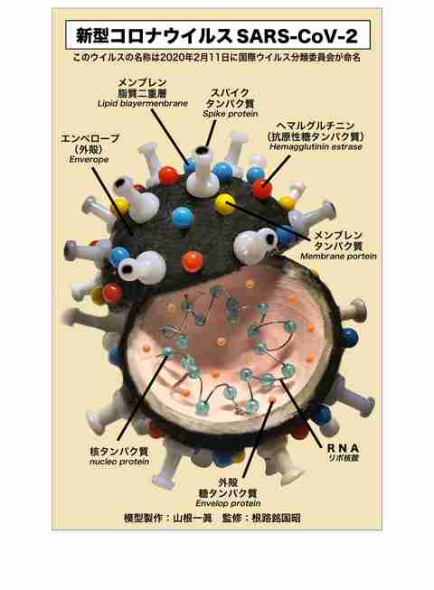 東京・中野の病院で87人感染確認　院内の感染計92人