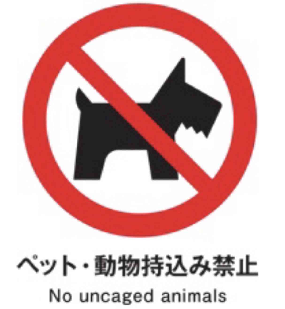 犬が嫌いな人にしか分からないことPart4