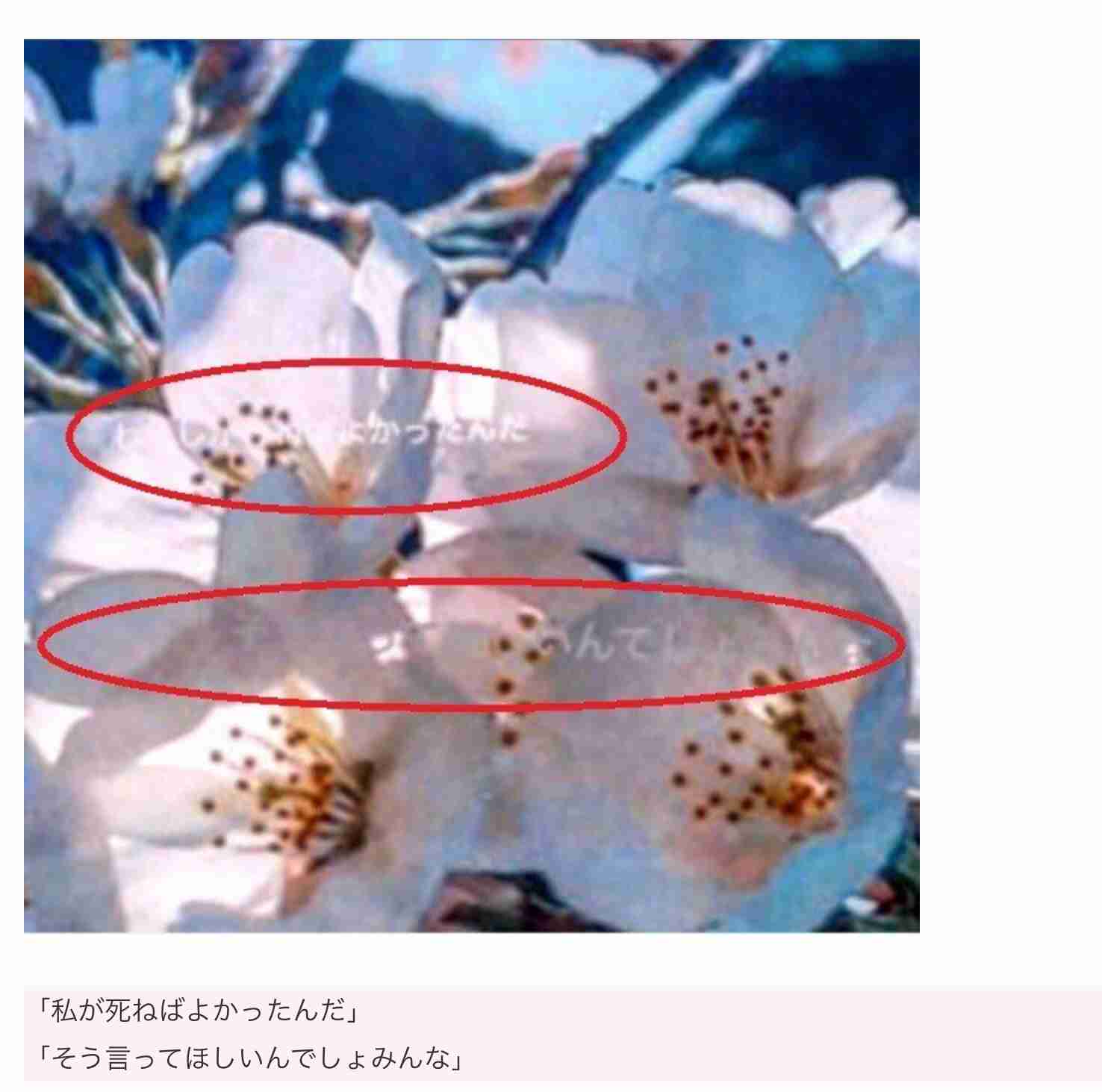 足立梨花の「1カ月以上会ってませんので大丈夫」ツイートに“冷たい”の声