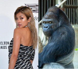 有名人を動物に例えて動物園をつくろう【悪口は禁止】