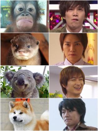 有名人を動物に例えて動物園をつくろう【悪口は禁止】