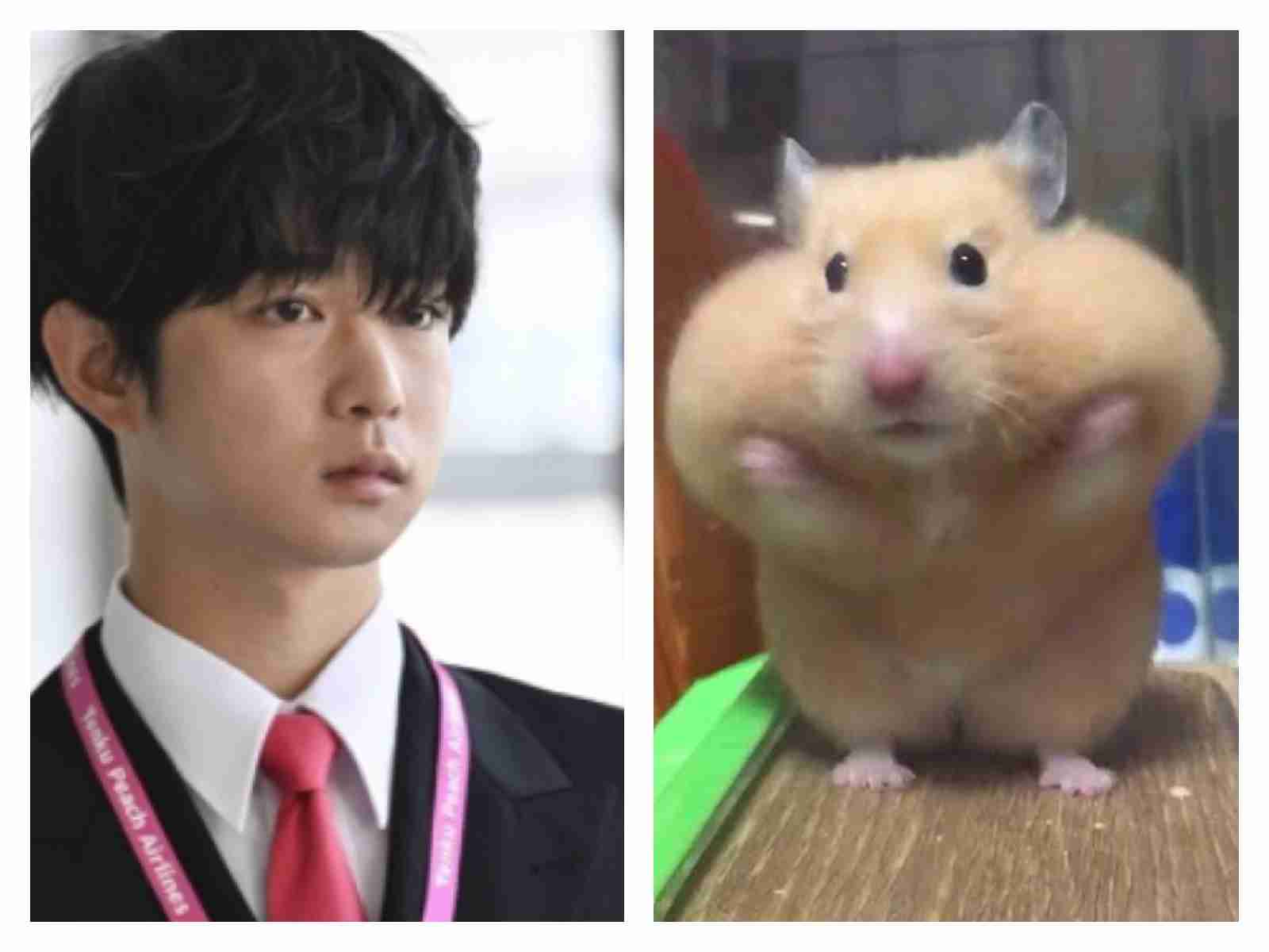 有名人を動物に例えて動物園をつくろう【悪口は禁止】