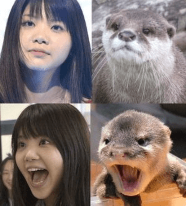 有名人を動物に例えて動物園をつくろう【悪口は禁止】