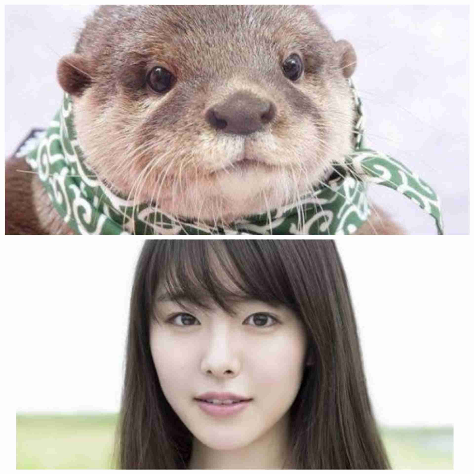 有名人を動物に例えて動物園をつくろう【悪口は禁止】