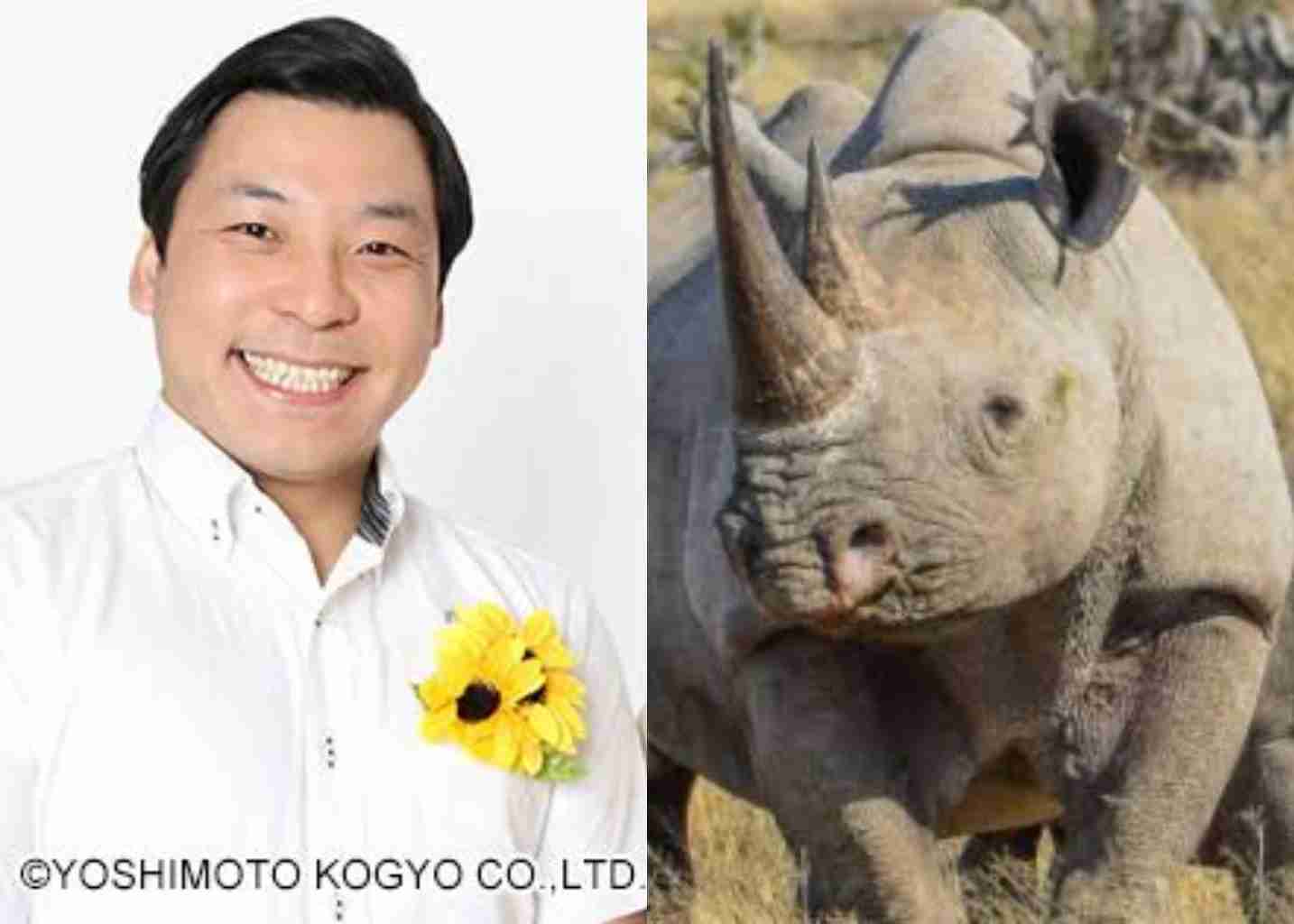 有名人を動物に例えて動物園をつくろう【悪口は禁止】