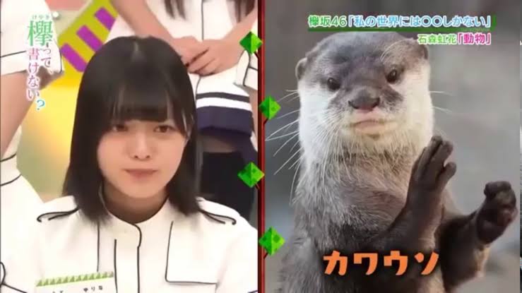 有名人を動物に例えて動物園をつくろう【悪口は禁止】