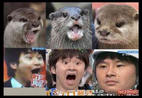 有名人を動物に例えて動物園をつくろう【悪口は禁止】