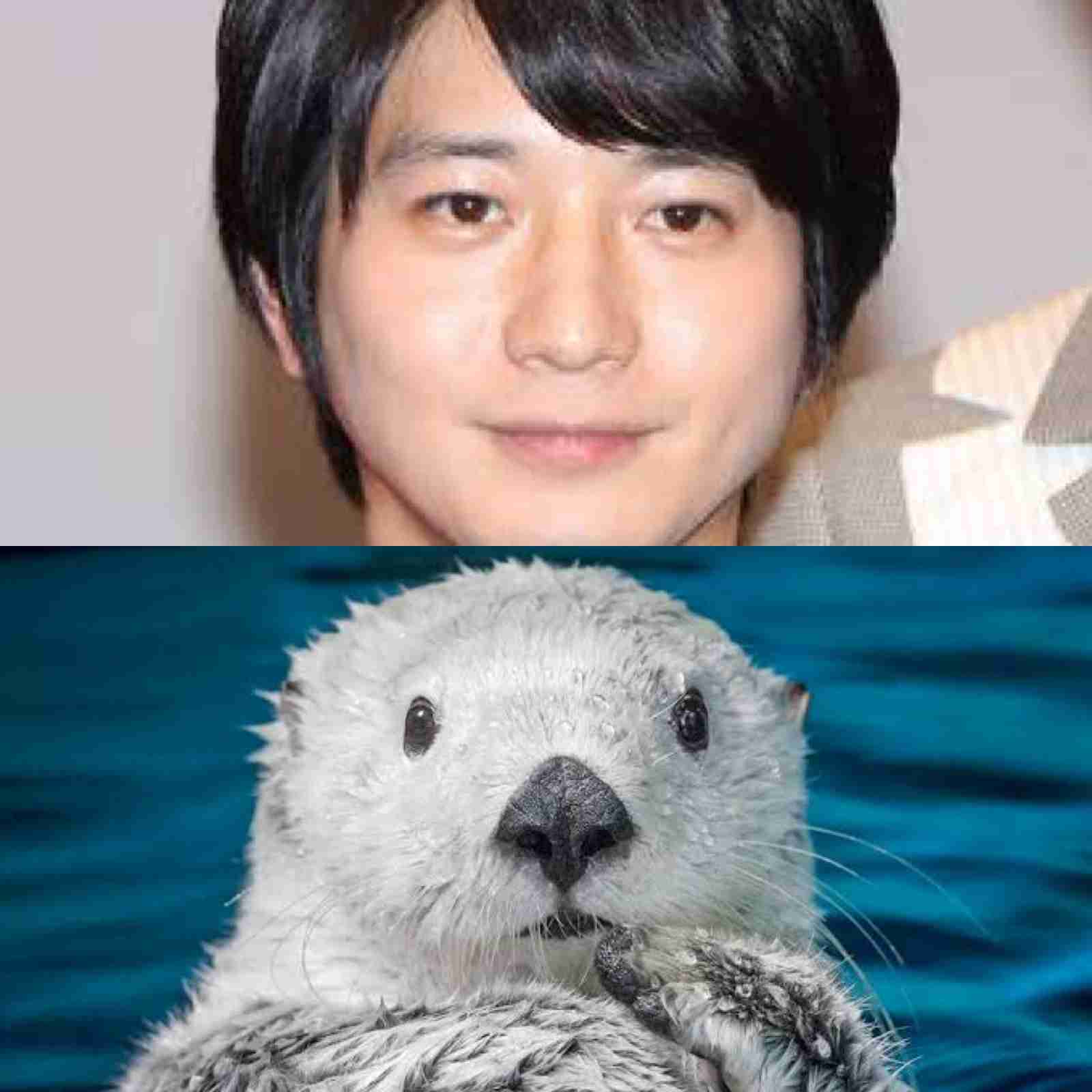 有名人を動物に例えて動物園をつくろう【悪口は禁止】