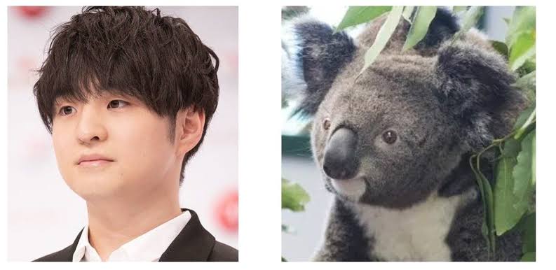 有名人を動物に例えて動物園をつくろう【悪口は禁止】