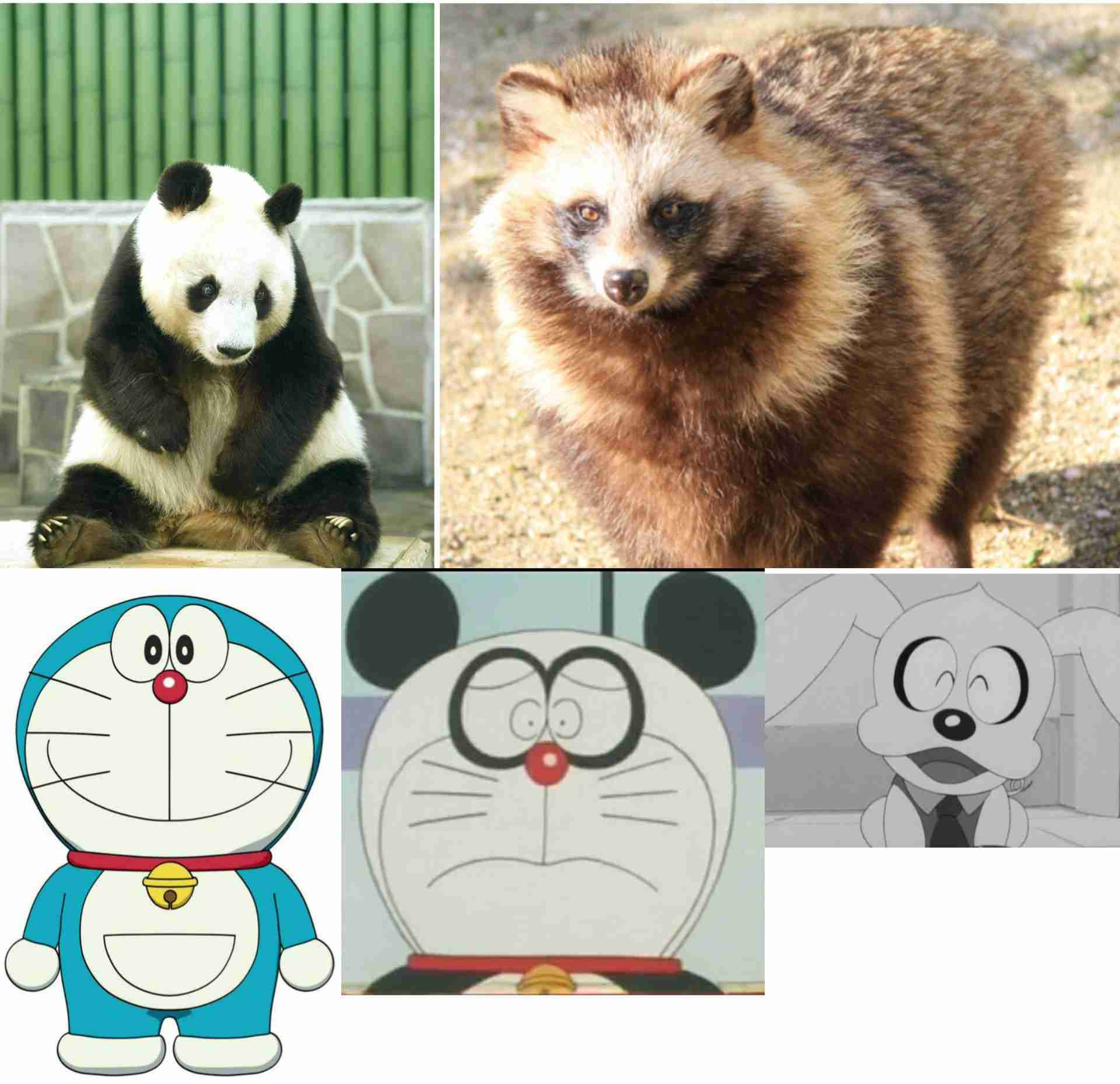 有名人を動物に例えて動物園をつくろう【悪口は禁止】