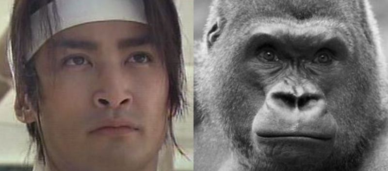 有名人を動物に例えて動物園をつくろう【悪口は禁止】