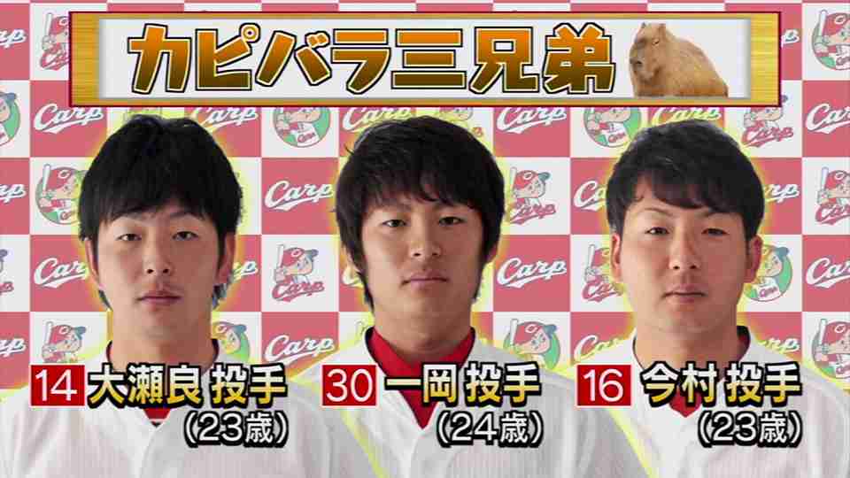 有名人を動物に例えて動物園をつくろう【悪口は禁止】