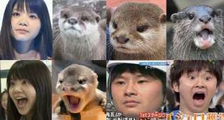 有名人を動物に例えて動物園をつくろう【悪口は禁止】