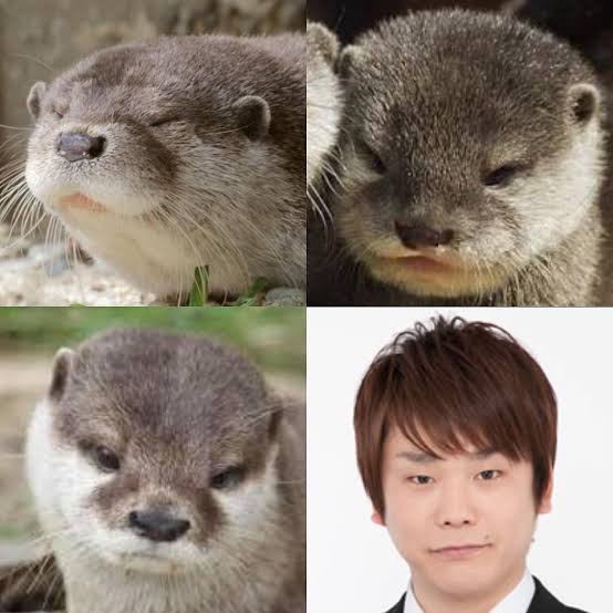 有名人を動物に例えて動物園をつくろう【悪口は禁止】