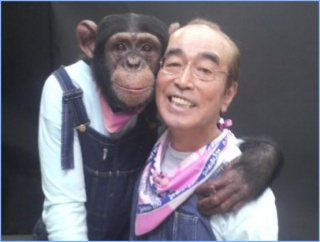よく分からんけどなんか楽しそう♡て画像を貼るトピ