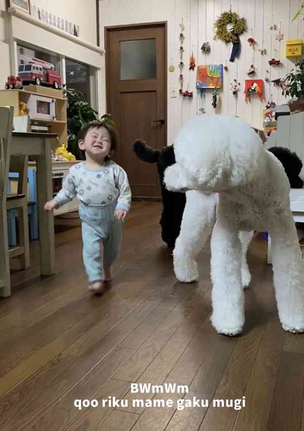 よく分からんけどなんか楽しそう♡て画像を貼るトピ
