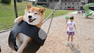 よく分からんけどなんか楽しそう♡て画像を貼るトピ