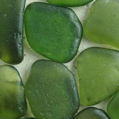 グリーンの画像で癒されるトピ