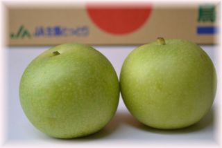 グリーンの画像で癒されるトピ
